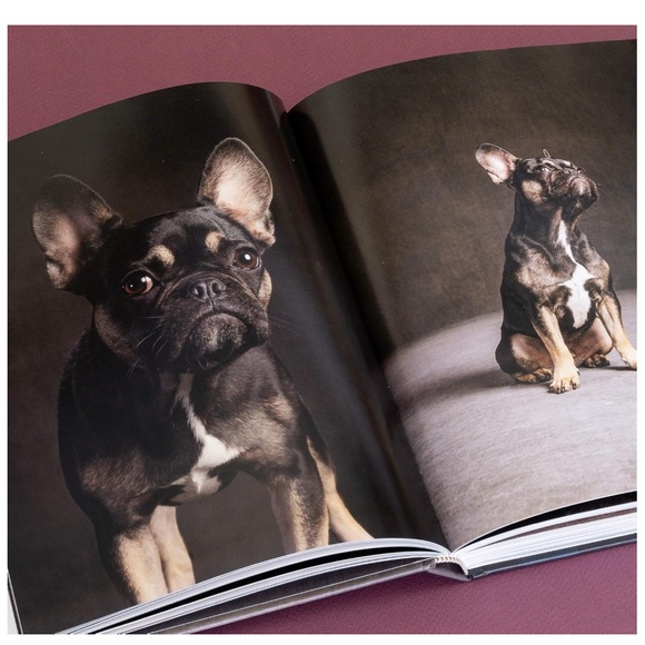 Perfect for all dog lovers! NEW! - Picture 7 of 8